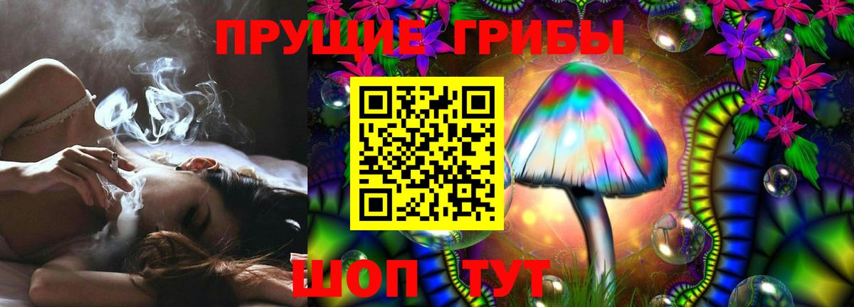 как найти наркотики  Вход с VPN  Сертолово  Галлюциногенные грибы прущие грибы 